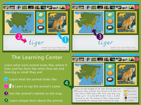 Animals of Asia - Montessori Geography For Kids - náhled
