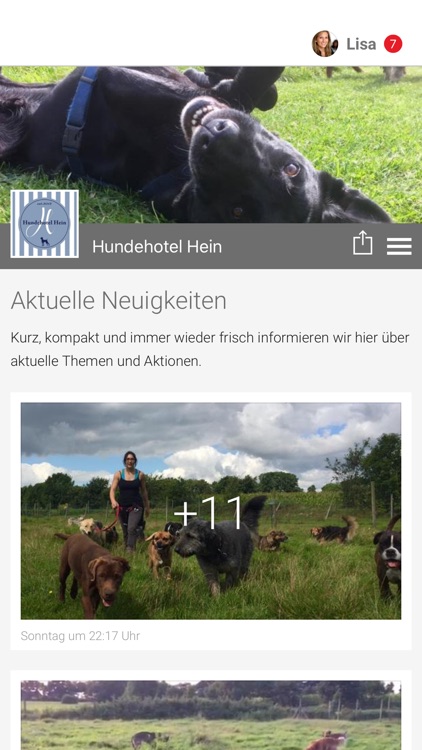 Hundehotel Hein