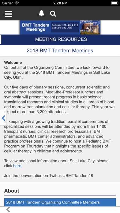 BMT Tandem 2018 screenshot 4