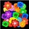 Icon Sights and Sounds: Flowers