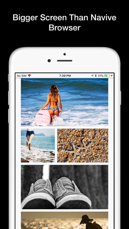 Hive Private Browser