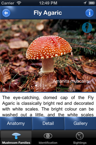 Mushroom Id Guide - UK - náhled