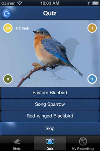Bird Song Id Canada birdsongs - náhled