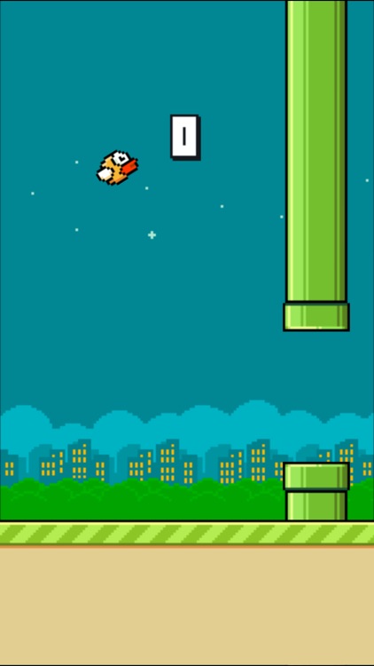 Flappy Bird: The Bird Game screenshot-4