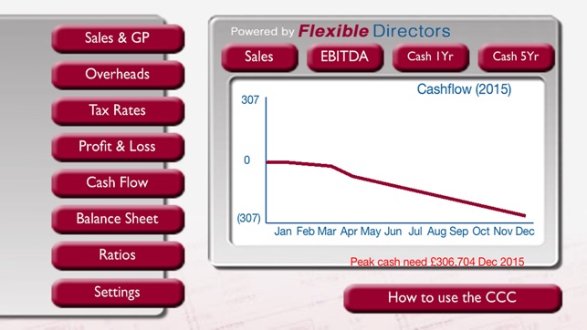 Corporate Cashflow Calculator