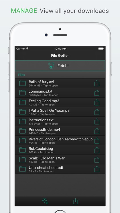 File Getter screenshot-3