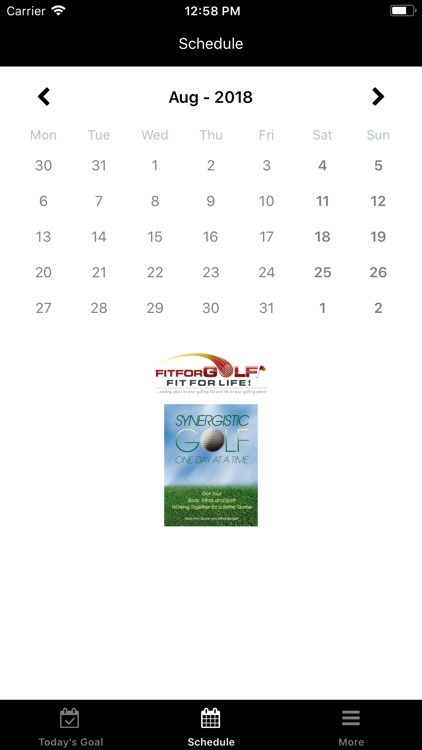 Synergistic Golf screenshot-3