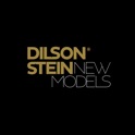 Dilson Stein App 2018 icon