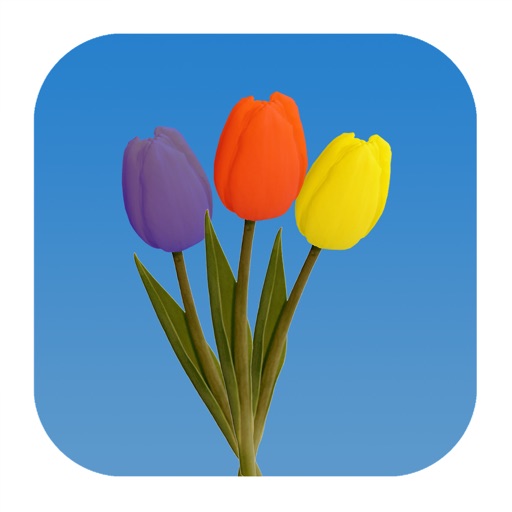 Dutch Tulips icon