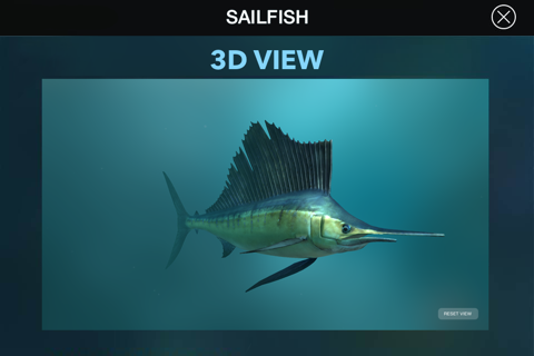 Amazing World OCEAN 3D screenshot 4