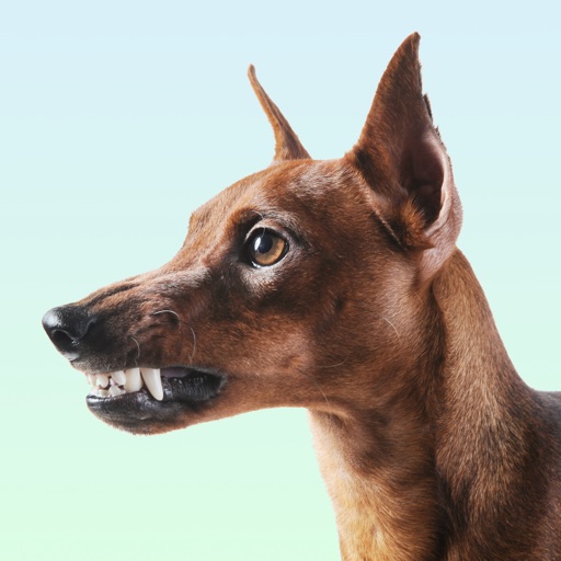Dog Growling Sounds Icon
