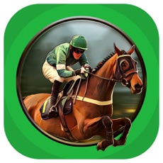 Activities of Horse Racing & Betting Game