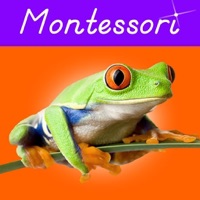 Animal Kingdom (Vertebrates) PC 용