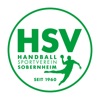 HSV Sobernheim