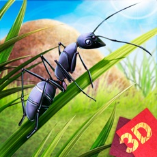 Activities of Ant Empires Simulator
