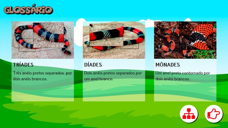 Chave de identificação ilustrada para reconhecimento das cobras corais