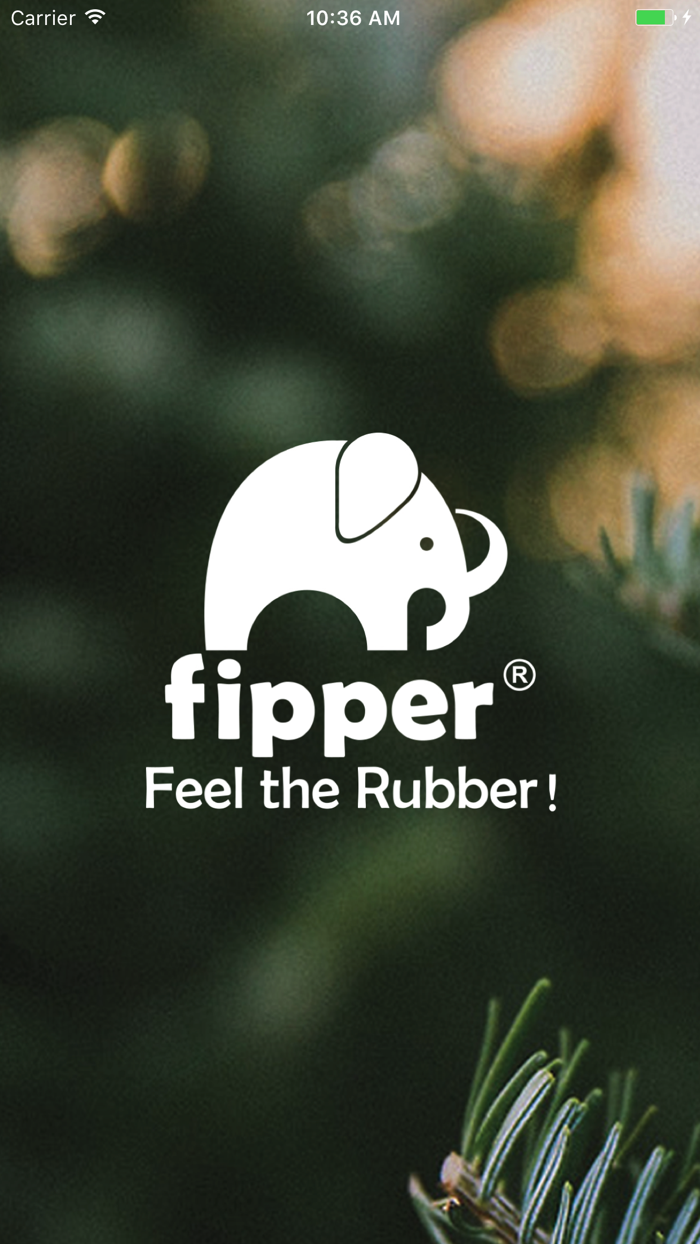 fipper slipper