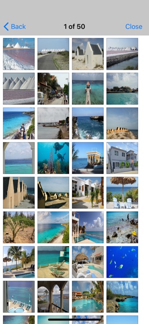 Bonaire Island Travel Guide(圖6)-速報App