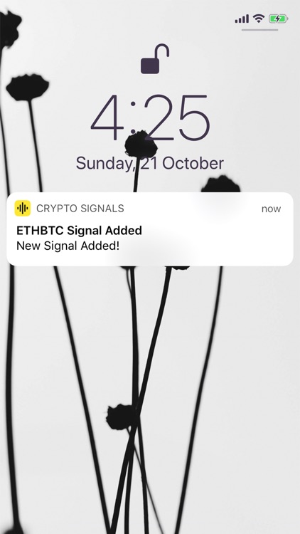 Crypto Signals Expert screenshot-3