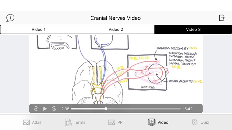 Cranial Nerves Plus screenshot-6
