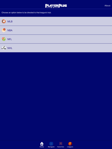 PlayerPlug screenshot 3