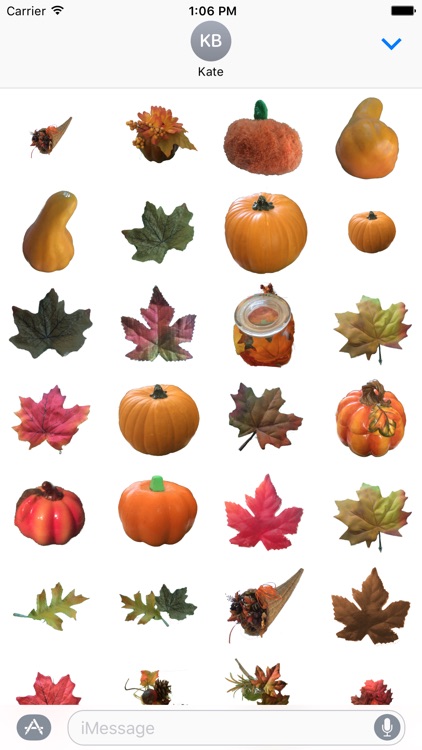 Fall Leaves & Pumpkin Stickers