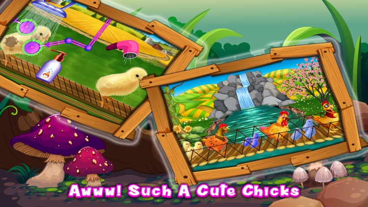 Chicks Poultry Factory screenshot-4