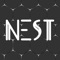 NEST - a strategy game for 2 players - remotely resembling chess