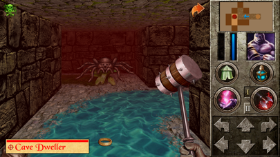 The Quest - Caerworn Castle screenshot 4