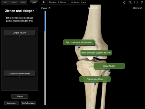 Skeleton System Pro III screenshot 3