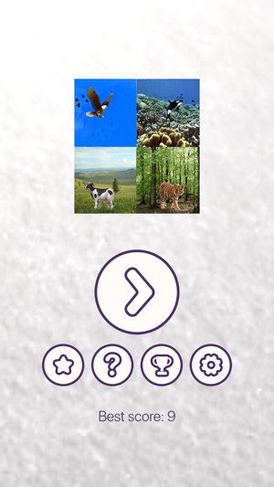 Move Animals(圖1)-速報App