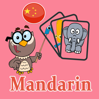 Mandarin Learning Flash Card