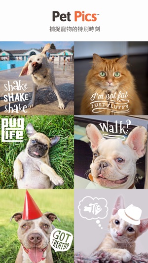 Pet Pics - Pet Photo Editor