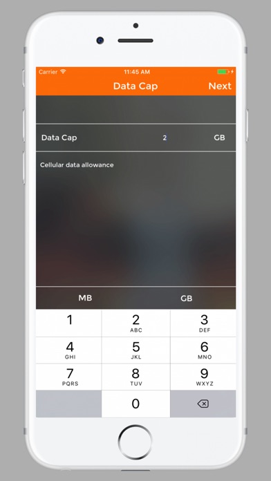 Data Manage screenshot 3