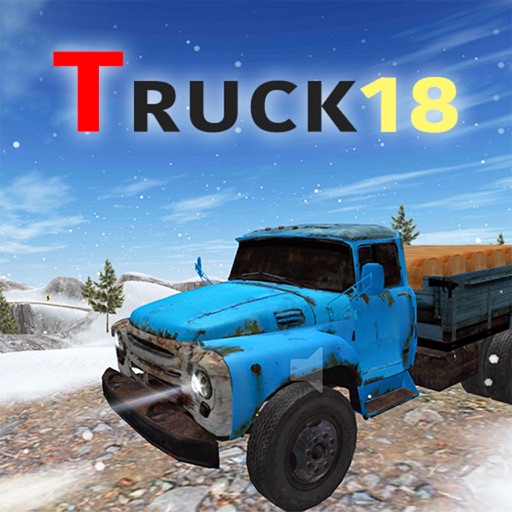 Truck Driver 2018