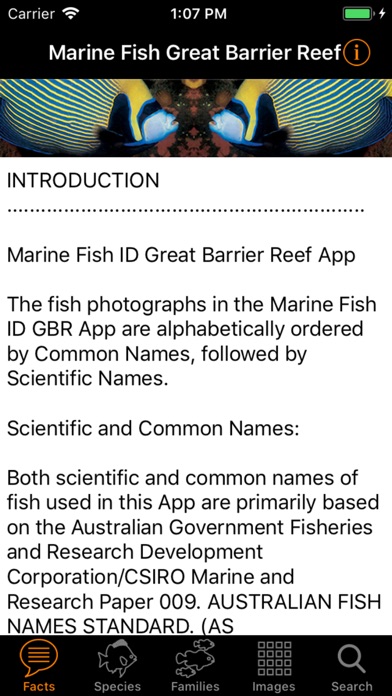 Marine Fish Great Barrier Reef screenshot 2