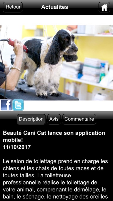 Beauté Cani Cat screenshot 2