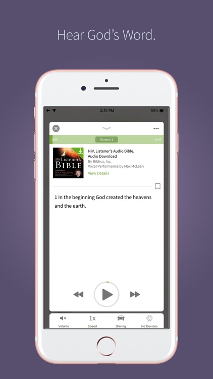 Bible by Olive Tree
