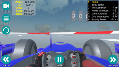 Racecar Driver screenshot 4