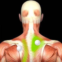 Muscle Trigger Points: Guide & Reference