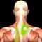 Muscle Trigger Points...