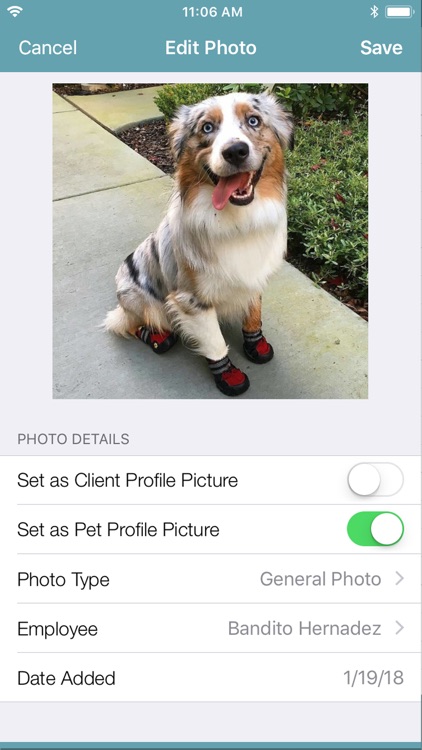 123Pet Software