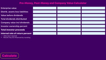 Company Valuation Calculator screenshot 4