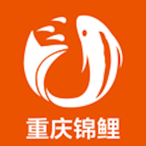 重庆锦鲤 icon