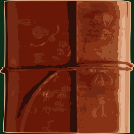 Travel Book