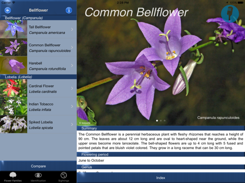 Wildflower Id USA Photo Recognition Guide NE - náhled