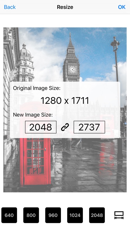 Image Resizer Pro - image crop