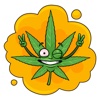 Mr.Weed