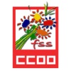 FSS CCOO Madrid