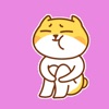 Cat Big Animated Stickers